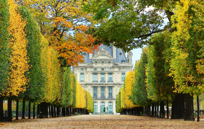 Your Ultimate Guide to Paris in the Fall