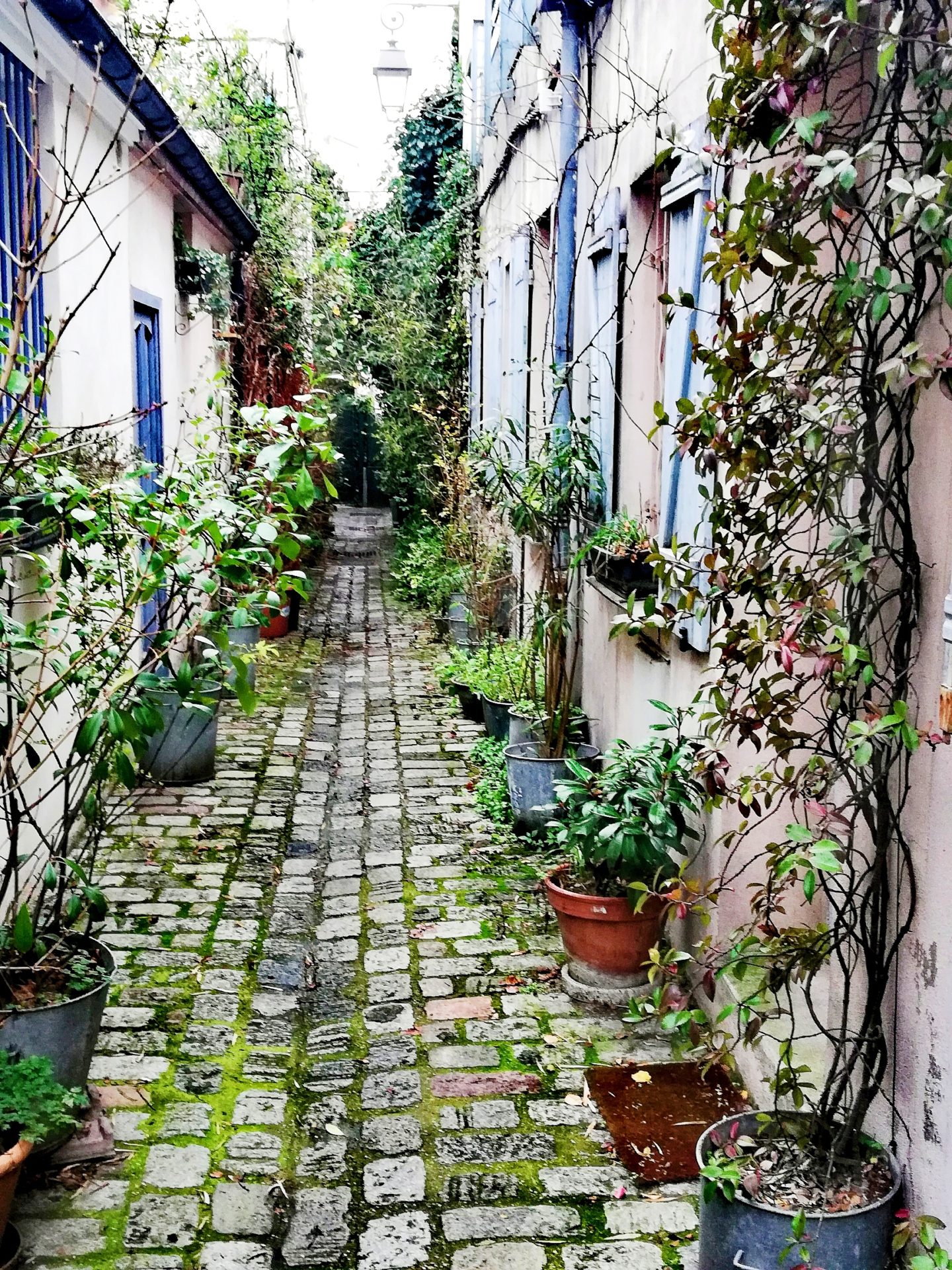 Cobblestones street in the Village Charonne in Paris 20th district