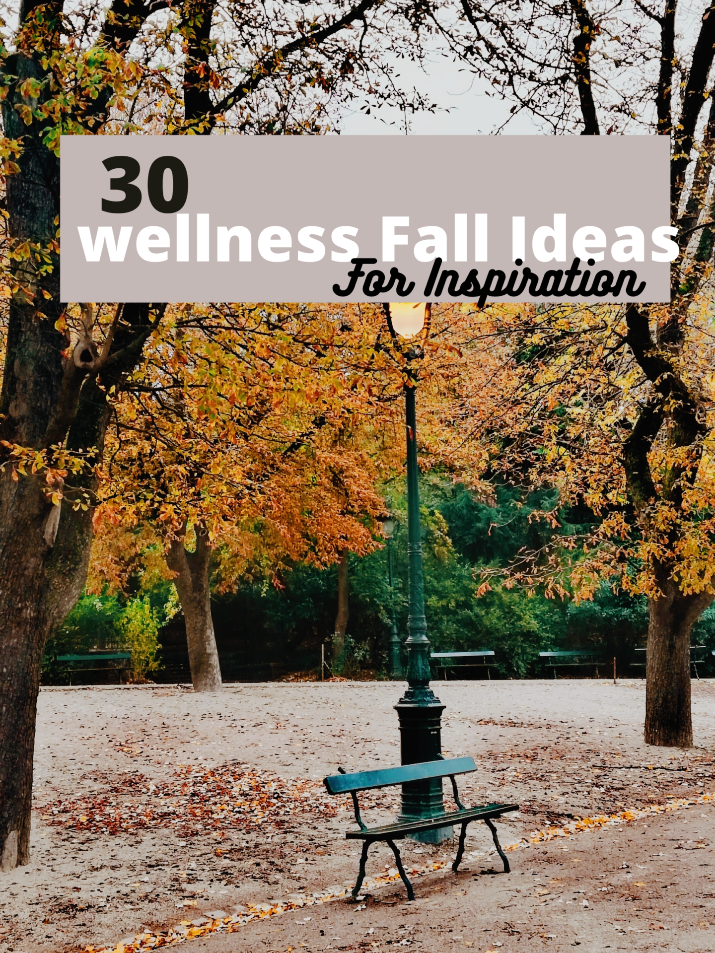 30 Wellness Fall Ideas For Inspiration