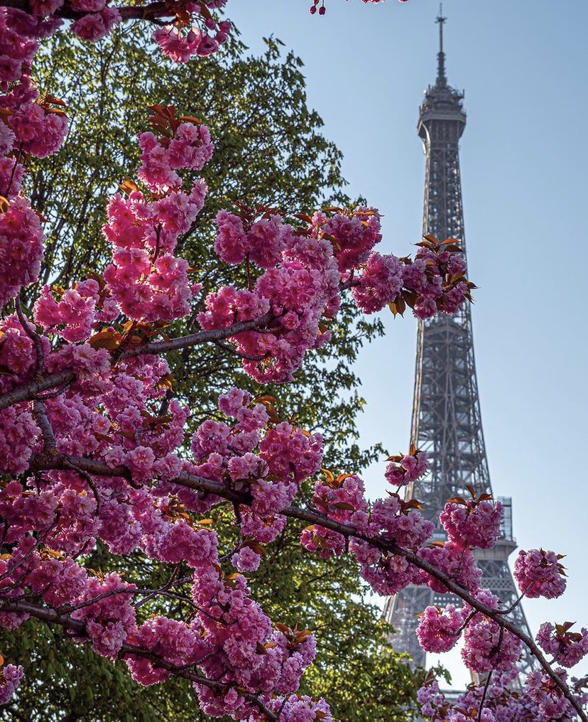 Best spring things to do in Paris in April